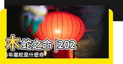 1971年屬什麼生肖|1971年屬什麼生肖？1971年出生人的命運？釵釧金。